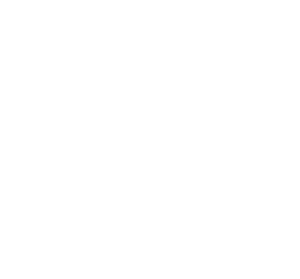 Blueyse logo